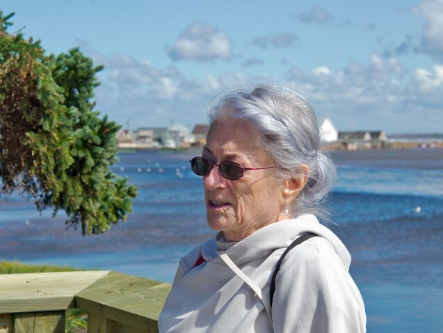D8194230